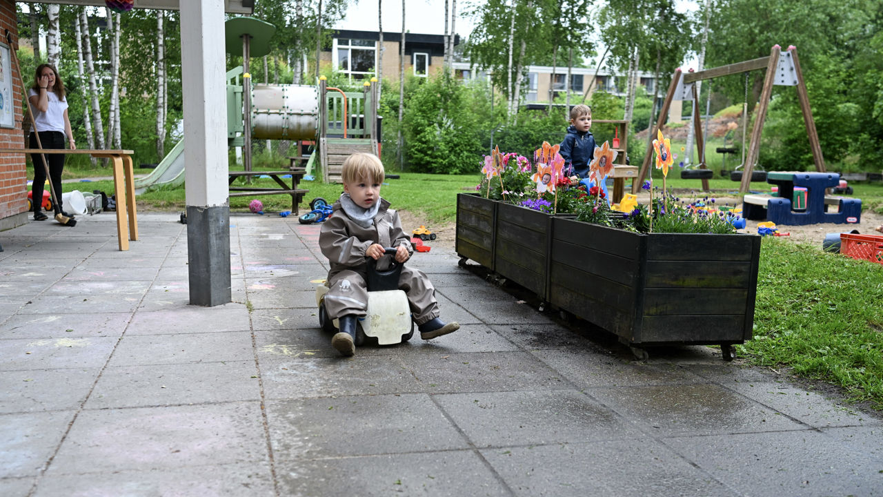 Børn på legeplads